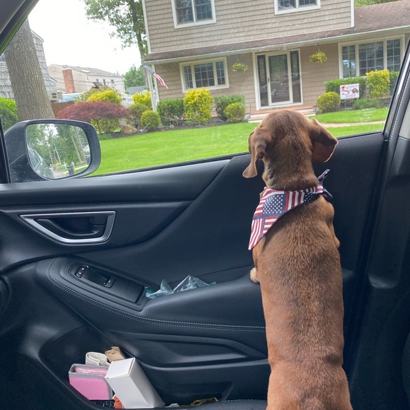 💎MEET THE POSHER💎 Bestdressed995 - Picture 6 of 16